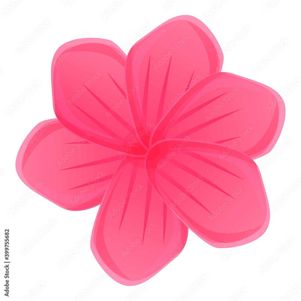 Pink plumeria icon. Cartoon of pink plumeria vector icon for web design isolated on white background