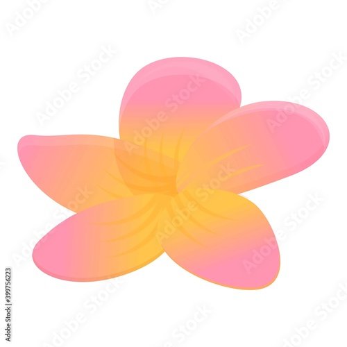 Plumeria aloha icon. Cartoon of plumeria aloha vector icon for web design isolated on white background