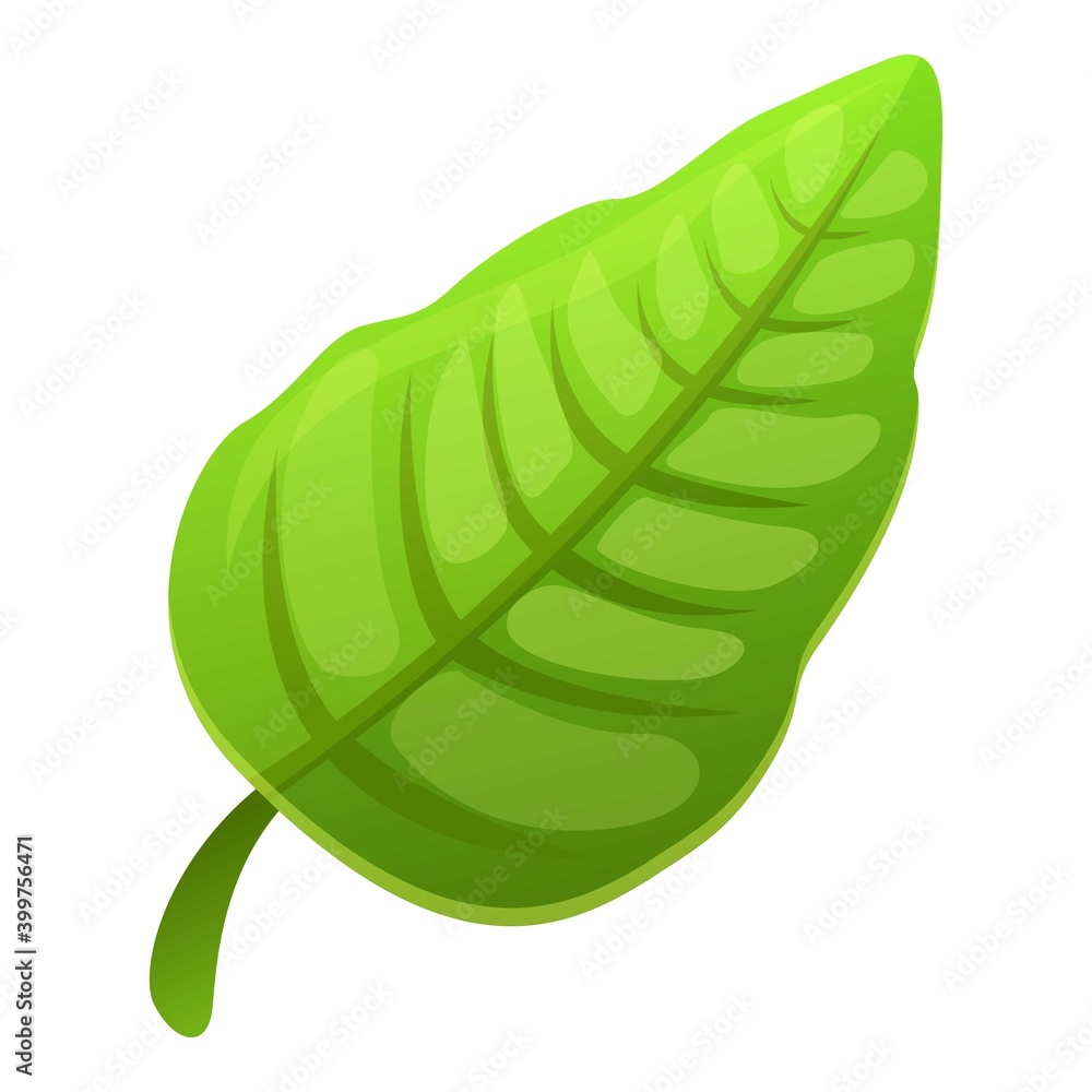 Tropical green leaf icon. Cartoon of tropical green leaf vector icon for web design isolated on white background Tropical green leaf icon. Cartoon of tropical green leaf vector icon for web design isolated on white background