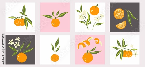 Mandarin poster set. Exotic tropical orange citrus fresh fruit, whole juicy tangerine with green leaves and flowers, slice and orange peel, vector cartoon minimalistic style isolated illustration
