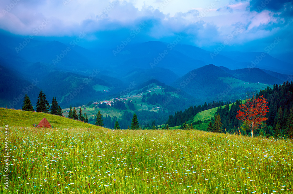 Carpathian mountain landscape