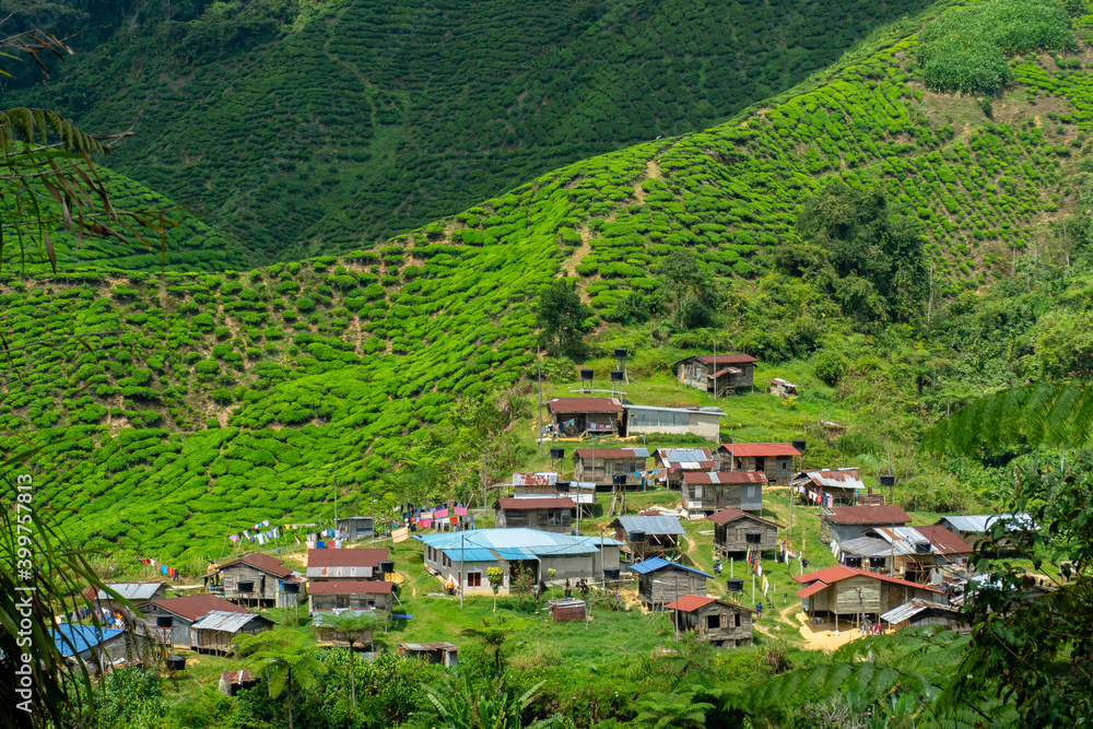 Small aboriginal settlement near Tanah Rata, in the Cameron Highlands, Malaysia. The beautiful area is covered by green tea plantations. 