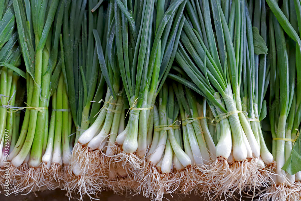 Fresh garlic and spring onions
