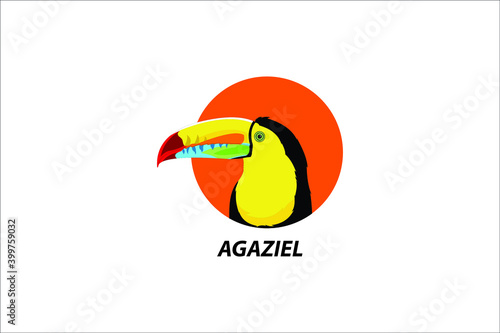 bird logo template illustration with many colors