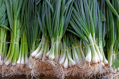 Obraz na płótnie Fresh garlic and spring onions w salonie