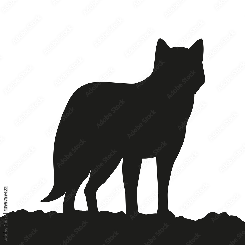 young wolf looks into the distance silhouette on white background vector illustration EPS10