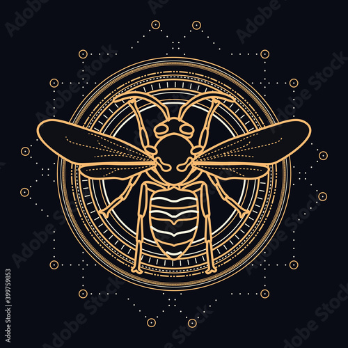 Sacred wasp with celestial design elements - insect illustrated with gold and white lines on black background