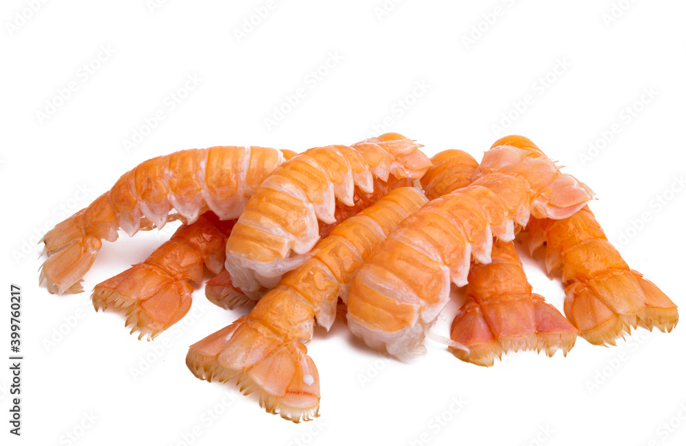 boiled lobster isolated boiled lobster isolated