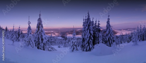 Scenic winter landscape,snowy spruce trees,fresh powder snow, mountain forest. Valley, mountains and blue sky with moon in background. Panoramic image. Middle europe. .