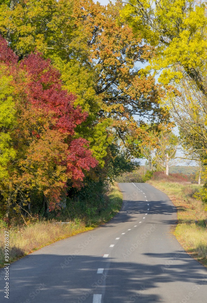 Winding road with beautiful autumn foliage trees