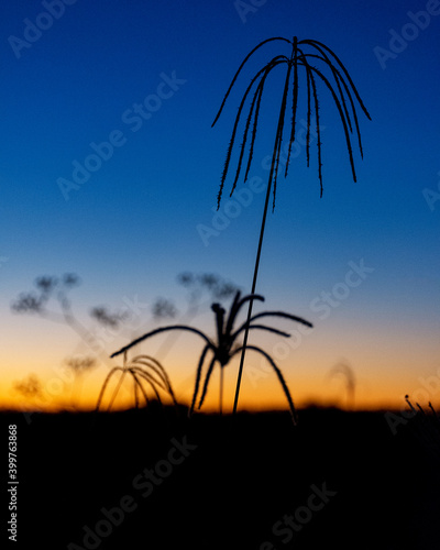 Pôr-do-Sol 