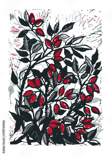 Vector mage of rose hips hand drawing. Linocut rosehip. Picture of a dog rose.  Linocut red dog rose. 