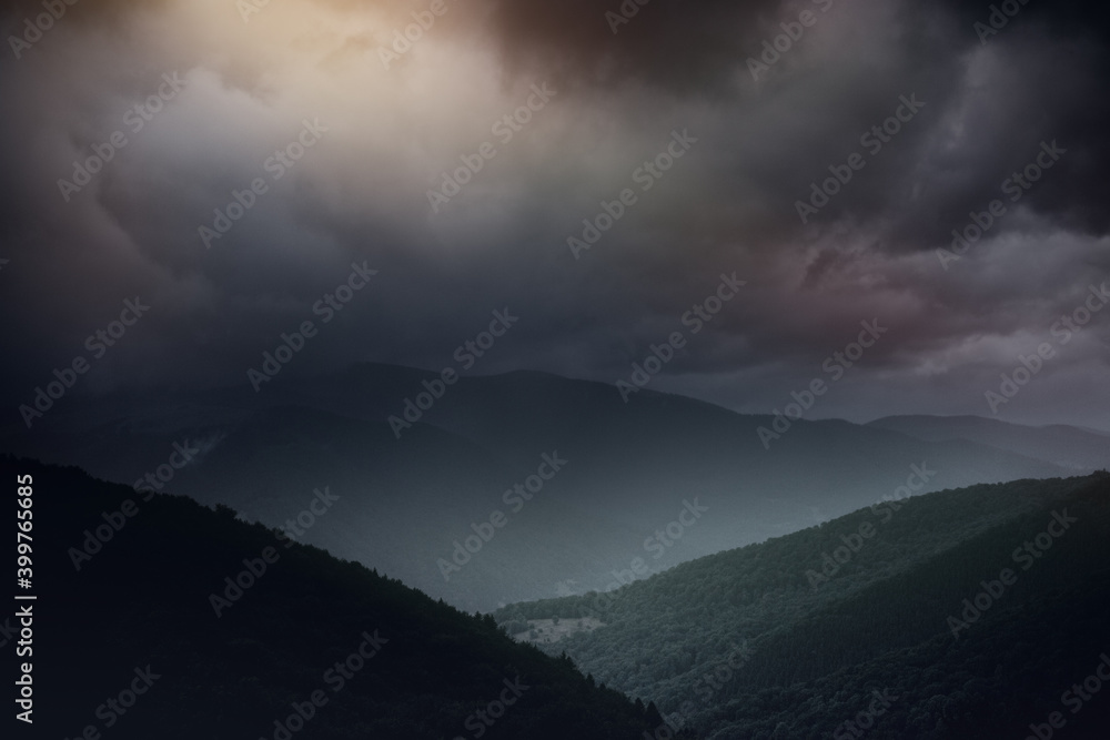 Panoramic view of coniferous forest in the mountains at sunset. Panoramic view of coniferous forest in the mountains at sunset.