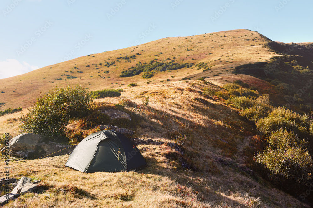 View of an orange tent in the summer in mountain forest.