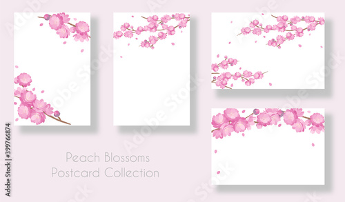 Fototapeta Naklejka Na Ścianę i Meble -  Peach Blossoms spring poscard background