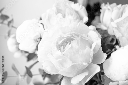 Bouquet of peonies on a white background. Eucalyptus and peonies bouquet in a glass vase. Beautiful bouquet of flowers.