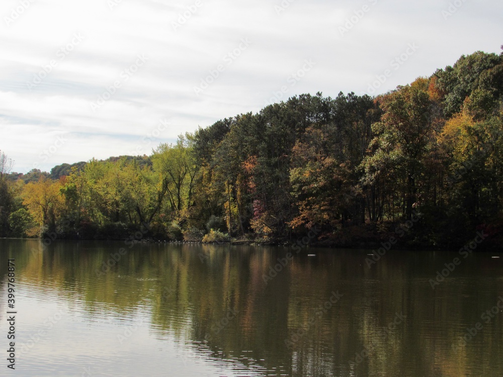 autumn trees reflected in lake