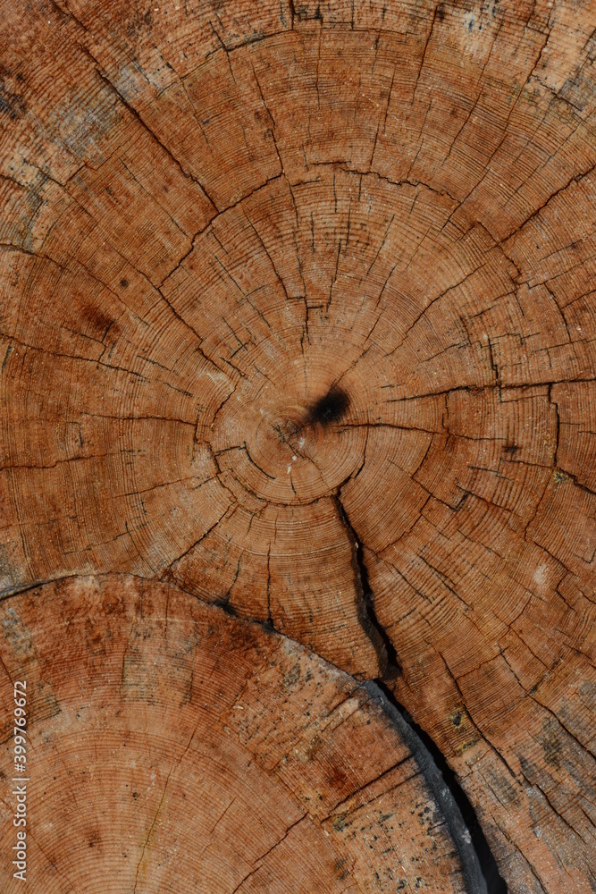 Fototapeta premium Part of a frame of the rural house. Timber wooden log of the house. Lapland, Finland.