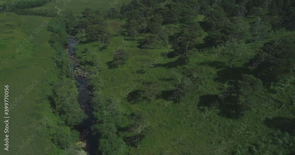 Aerial shot of the ancient native Scots Pine forest Coille Coire Chuilc - Scots Pine (Pinus Silvestris) - near Tyndrum in the Scottish Highlands moving up the banks of the Cononish River Aerial shot of the ancient native Scots Pine forest Coille Coire Chuilc - Scots Pine (Pinus Silvestris) - near Tyndrum in the Scottish Highlands moving up the banks of the Cononish River