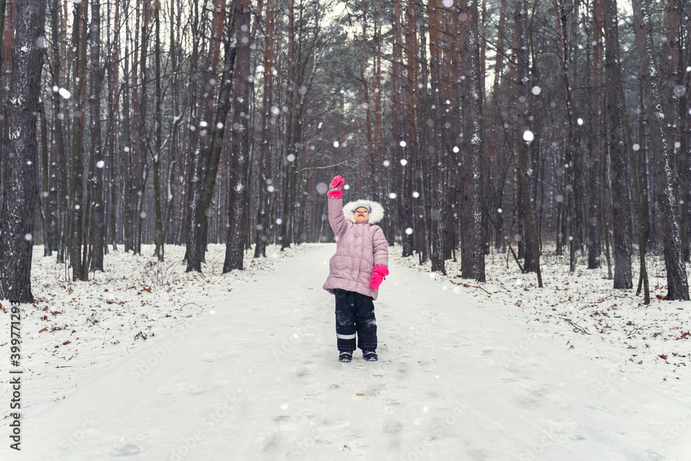 Naklejka premium landscape with winter snowy forest. winter background