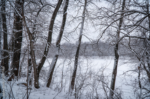 Winter river under ice and snow through the trees