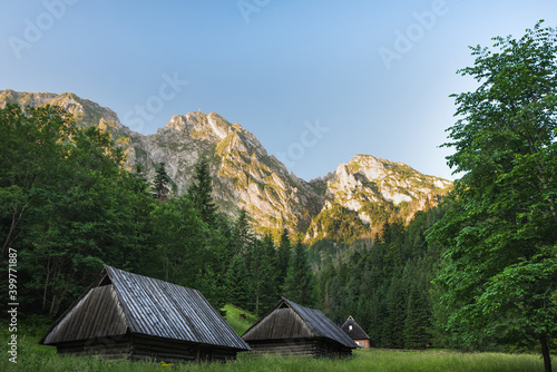 Obraz na płótnie Zakopane, Poland. Polana Strążyska Valley in the Tatra Mountains. w salonie