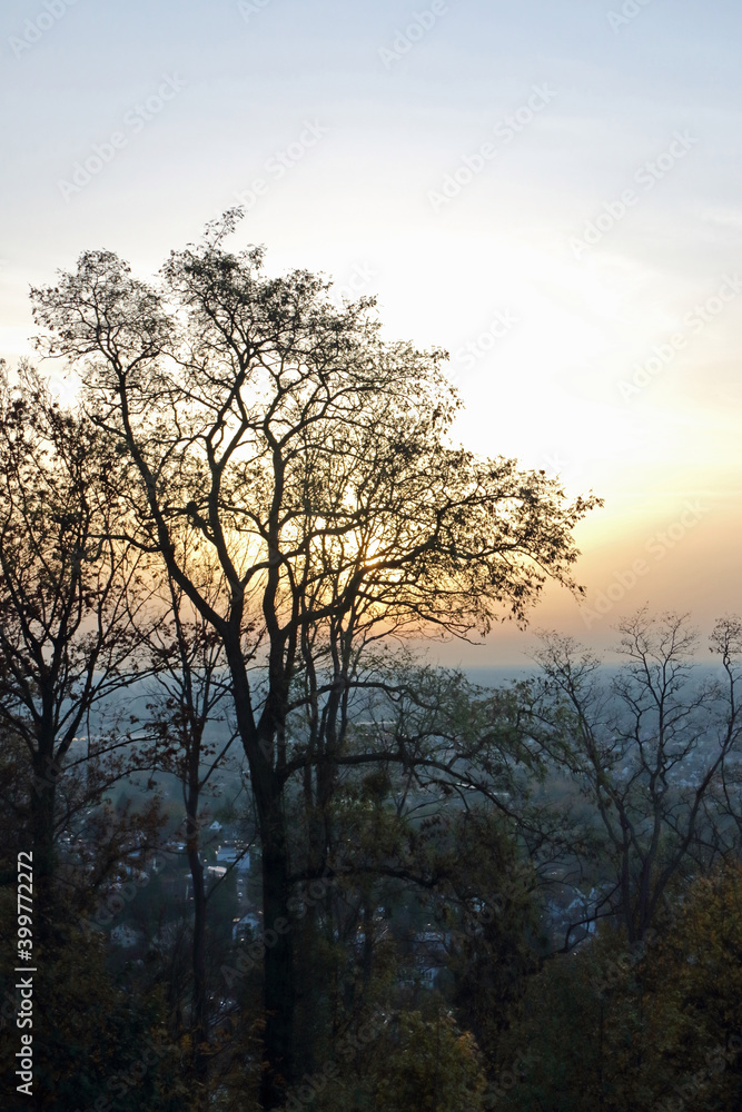 Abendsonne Abendsonne