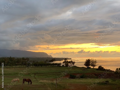 カウアイ島の海沿いの山々と農園の夕暮れの風景