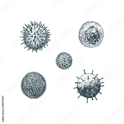 Viruses types, set of vector images. Coronavirus.