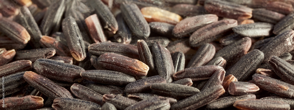 Close up of black rice, selective focus, natural background.