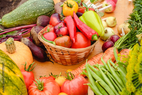 Harvest vegetables on the ground. Potatoes  carrots  beets  peppers  tomatoes  cucumbers  beans  pumpkin  onions and garlic. Autumn harvest farmers