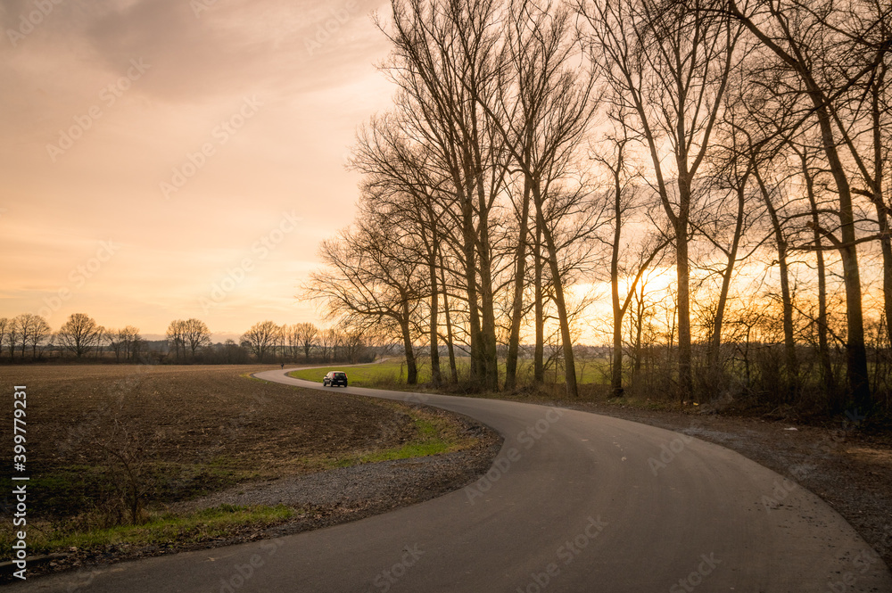 Autumn sunset over deciduous trees and a road with a driving car