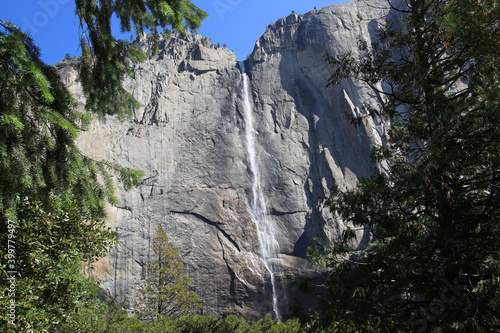 Yosemite falls in yosemite National Park viewed between green trees with blue sky