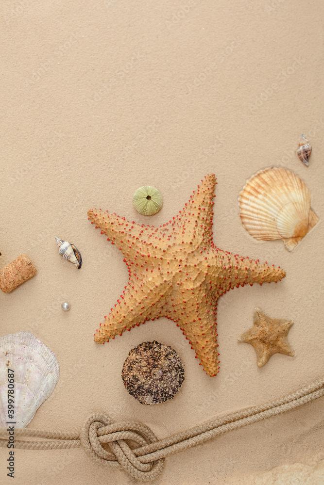 Seafood on a background of sand. Background about sea, ocean or tourism. About sailors, captains, underwater inhabitants. Pirate treasures. Seafood on a background of sand. Background about sea, ocean or tourism. About sailors, captains, underwater inhabitants. Pirate treasures.