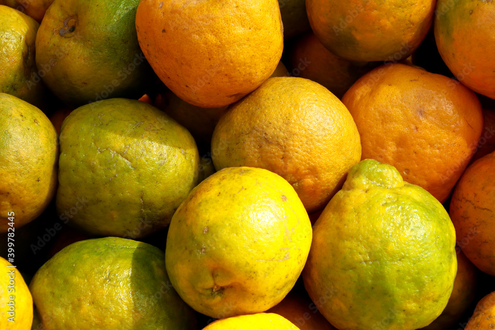 Ripe oranges from organic farm for sale Ripe oranges from organic farm for sale