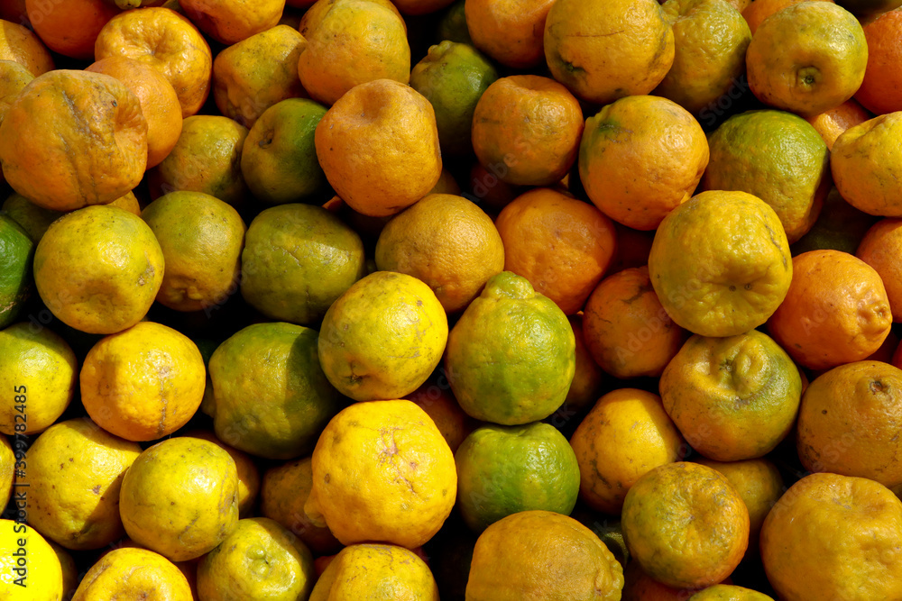 Ripe oranges from organic farm for sale
