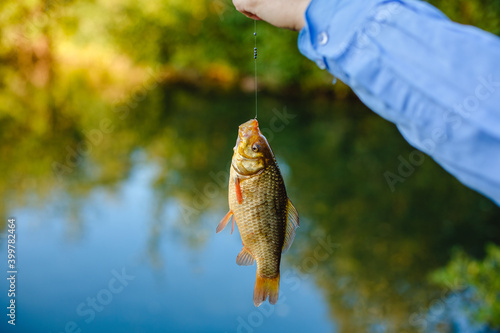 Child is fishing. Boy is a fisherman. Child with a fishing rod caught a fish in a pond. Nice catch!