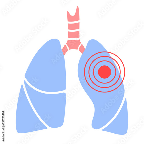 Internal human organs