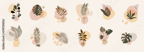 Abstract floral compositions. Boho story templates. Fluid organic shapes, neutral colors. Bohemian exotic leaf prints. Mid Century Modern design. Vector leaves illustration #399784056