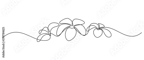 Plumeria flowers in continuous line art drawing style. Border with fragrant tropical plumeria (frangipani, jasmine) flowers. Minimalist black linear sketch on white background. Vector  illustration photo