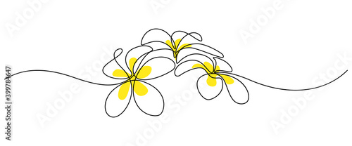 Plumeria flowers in continuous line art drawing style. Group of fragrant tropical plumeria (frangipani, jasmine) flowers. Minimalist black linear sketch on white background. Vector illustration