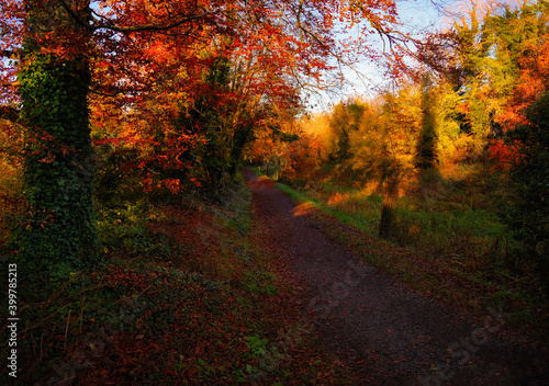 Boyne valley trails in autumn