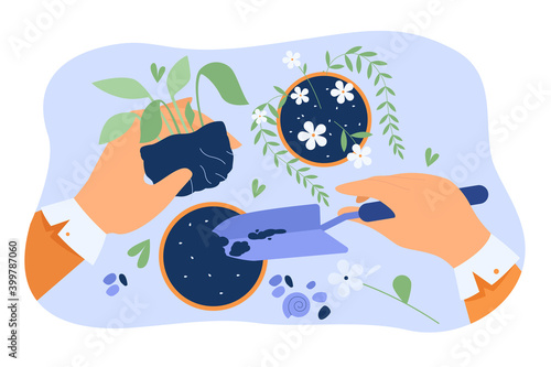 Hands of florist taking care about plants in pots, holding houseplant and digging soil with shovel. Vector illustration for home interior, decoration, floristry, gardening job in greenhouse concept