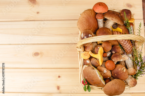 Mushrooms in a basket. Autumn forest gifts.