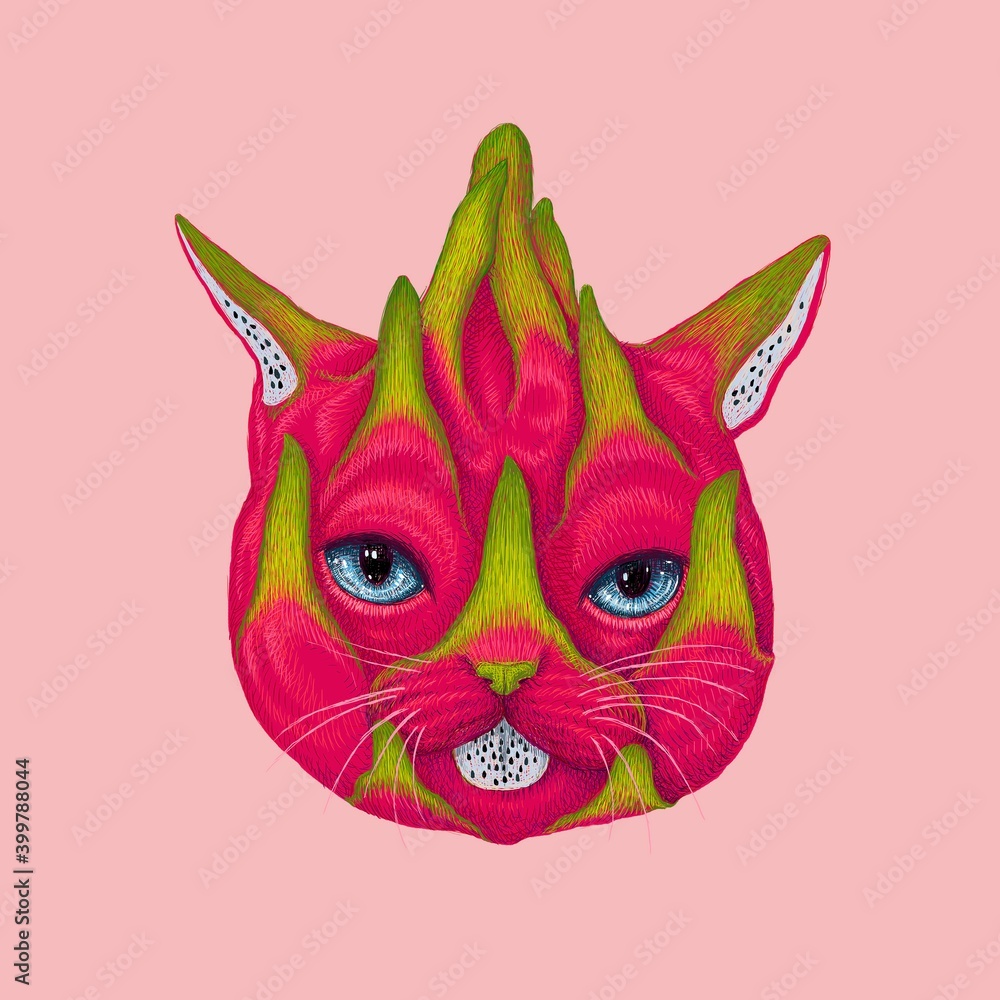Fototapeta premium Dragon fruit cat
