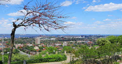 Hamilton, Ontario seen from the escarpment