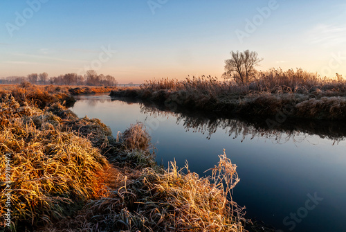 Rzeka Narew o poranku - Narwia  ski Park Narodowy  Podlasie  Polska