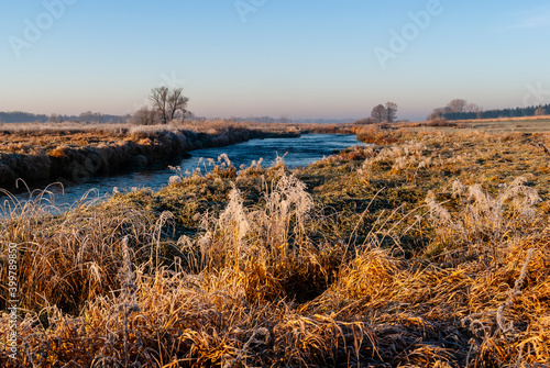 Rzeka Narew o poranku - Narwia  ski Park Narodowy  Podlasie  Polska