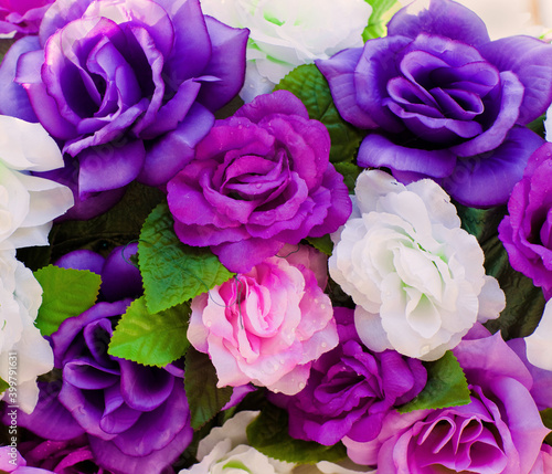 blooming roses of white  purple and pink color in a bouquet