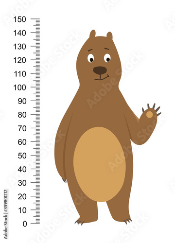 Fotografie Funny brown bear isolated on white background